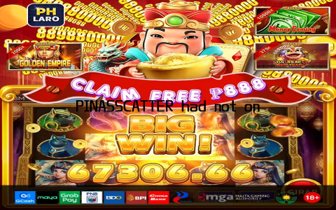 PINASSCATTER had not only unlocked my account but also restored my peace of mind
