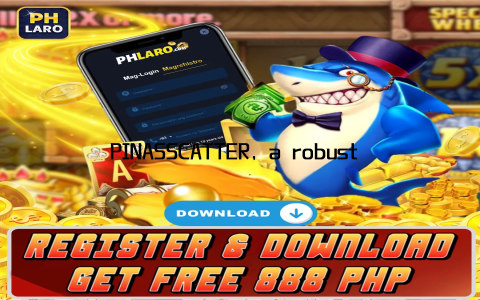 PINASSCATTER, a robust and secure platform, offers users a seamless yet highly secure login experience